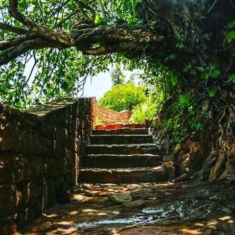 مبيت وإفطار دمنات Le Petit Jardin المظهر الخارجي الصورة